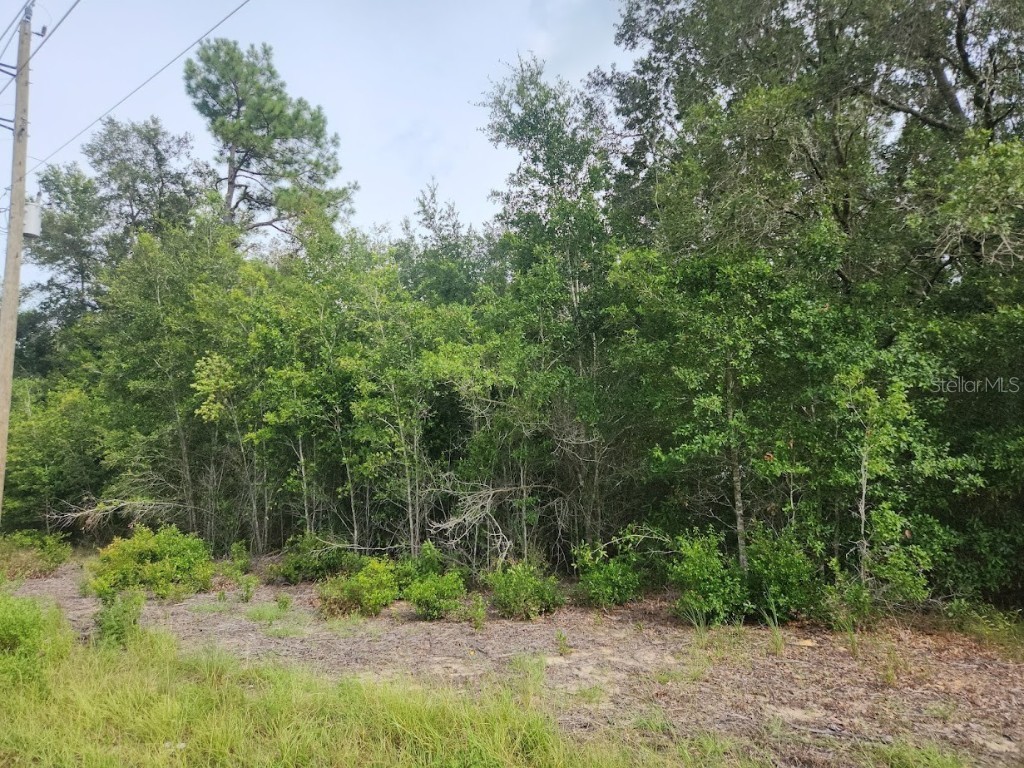 Lot 13 SW Rainbow Lakes Boulevard Dunnellon FL 34431 OM706802 image4