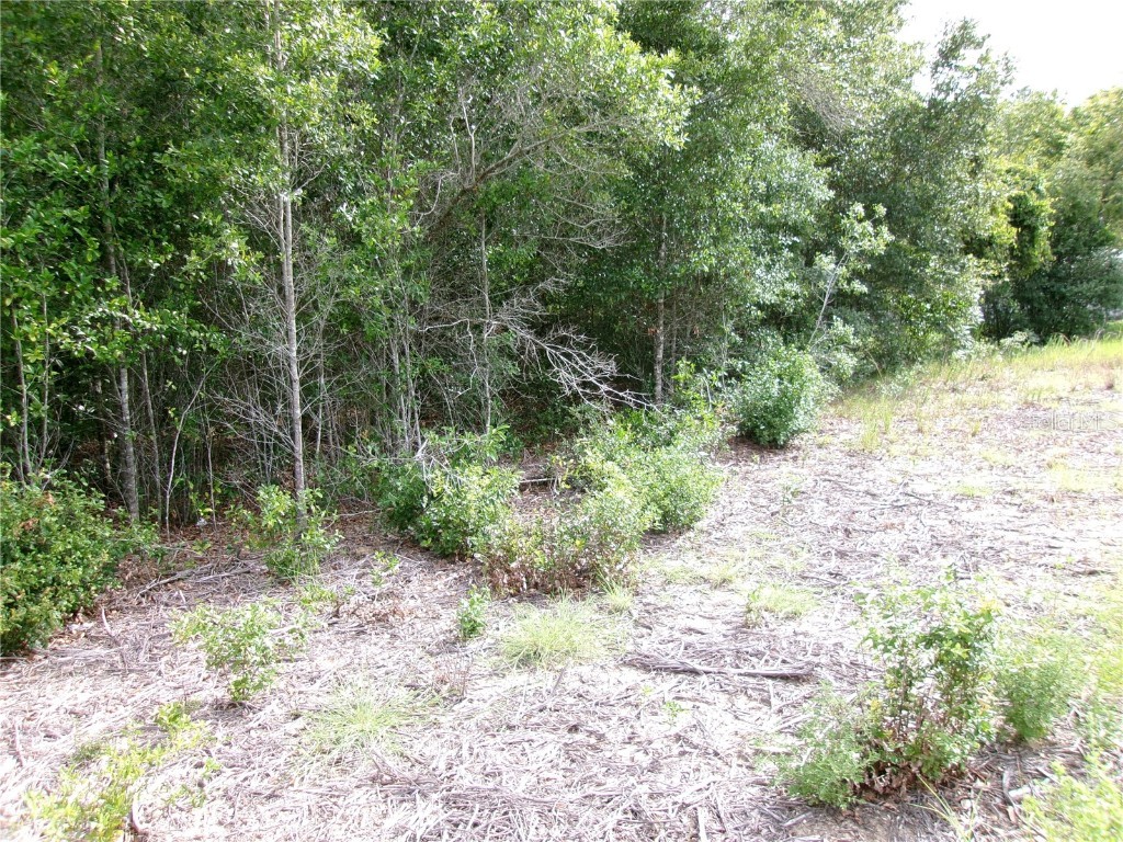 Lot 13 SW Rainbow Lakes Boulevard Dunnellon FL 34431 OM706802 image5