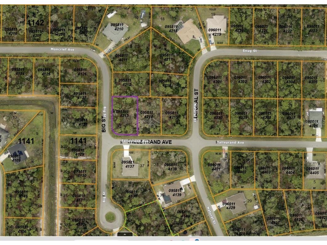 Lot 13 Talleyrand Avenue North Port FL 34286 D6137577 image1