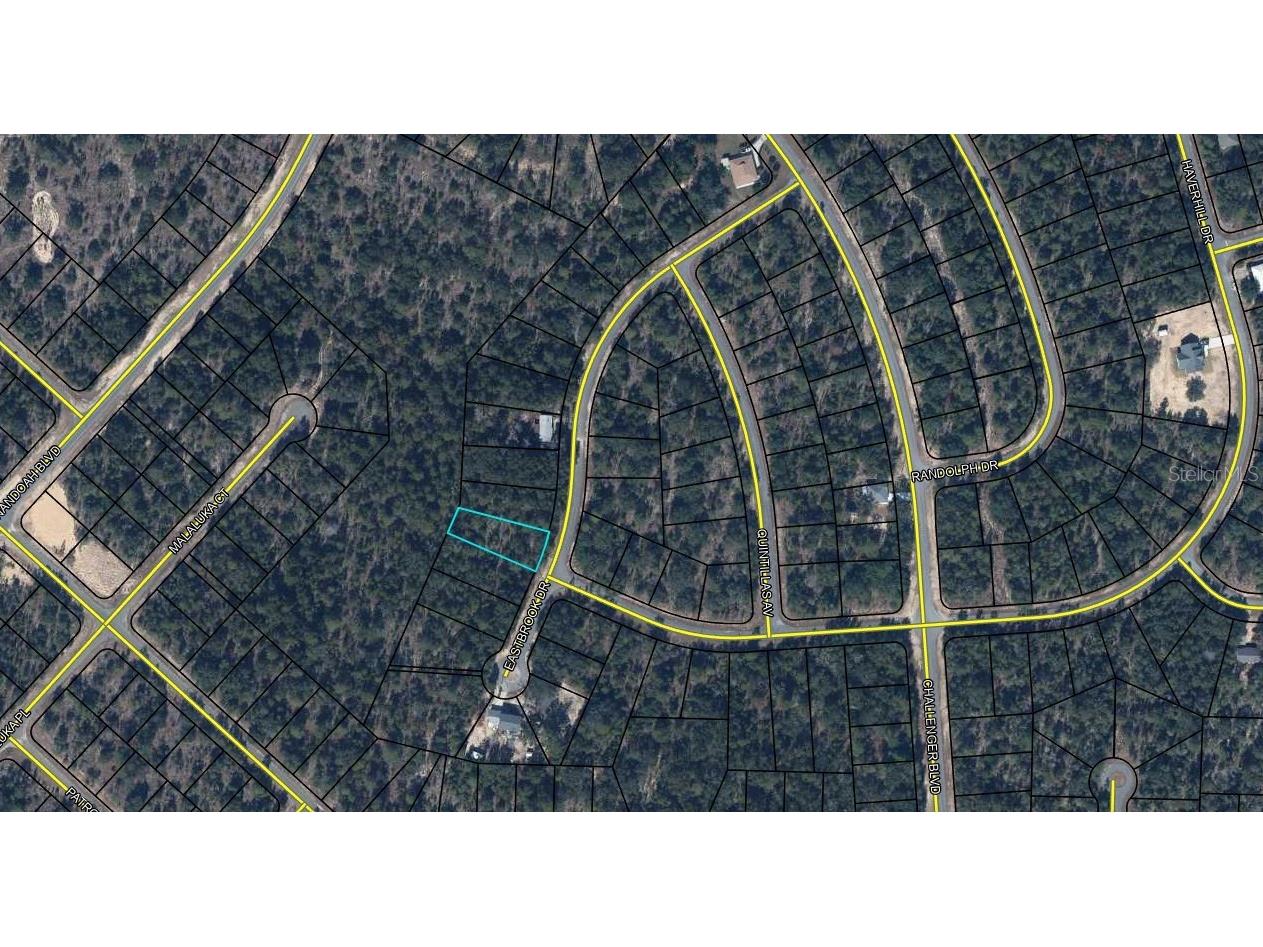 Lot 13 Unit 2 Blk 254 Eastbrook Drive Chipley FL 32428 OM721689 image3