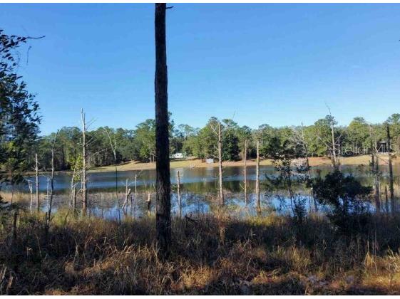 Lot 138 SE 168th Terrace Ocklawaha FL 32179 - Blue Lake OM698039 image2