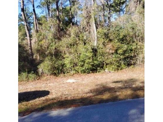 Lot 138 SE 168th Terrace Ocklawaha FL 32179 - Blue Lake OM698039 image3