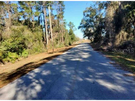 Lot 138 SE 168th Terrace Ocklawaha FL 32179 - Blue Lake OM698039 image4