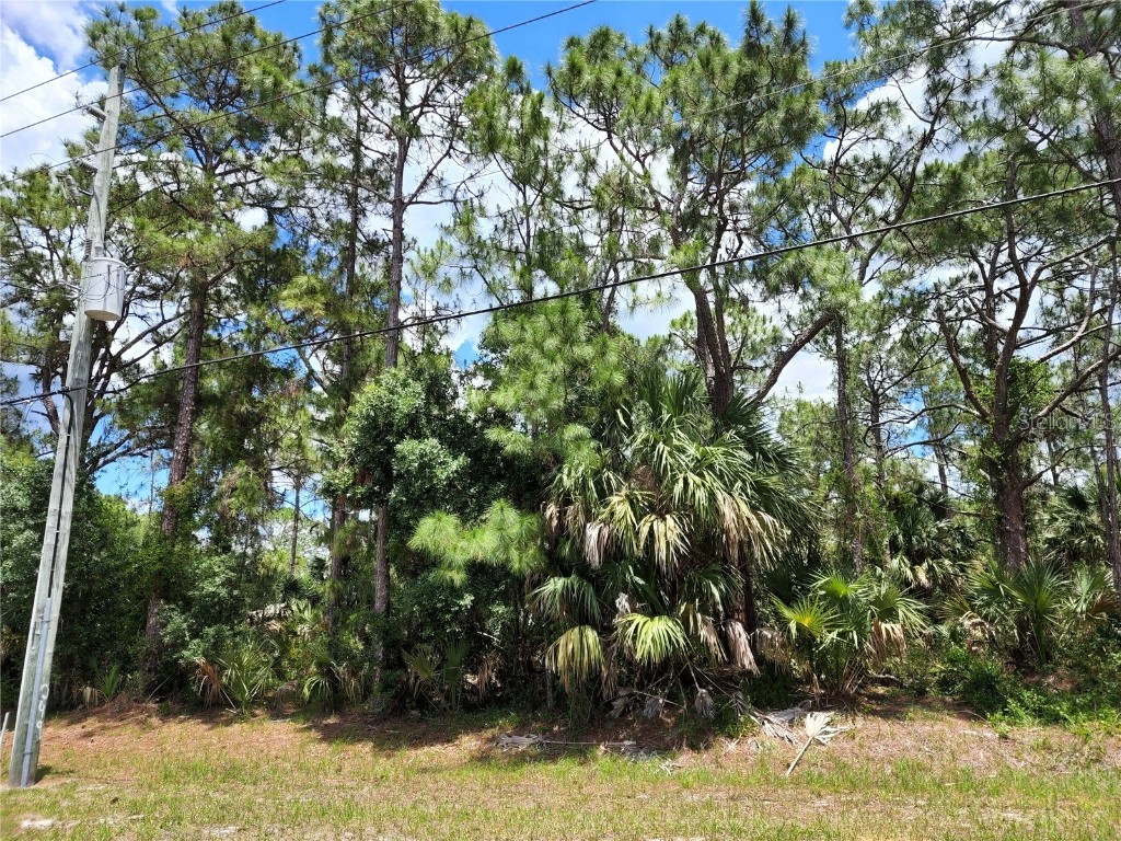 Lot 14 Atwater Drive North Port FL 34288 D6125455 image1