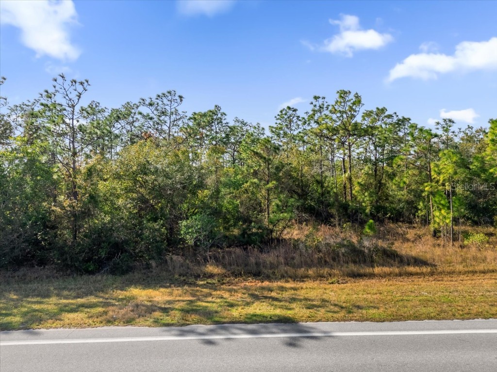 Lot 14 Dallas Boulevard Orlando FL 32833 G5091676 image1