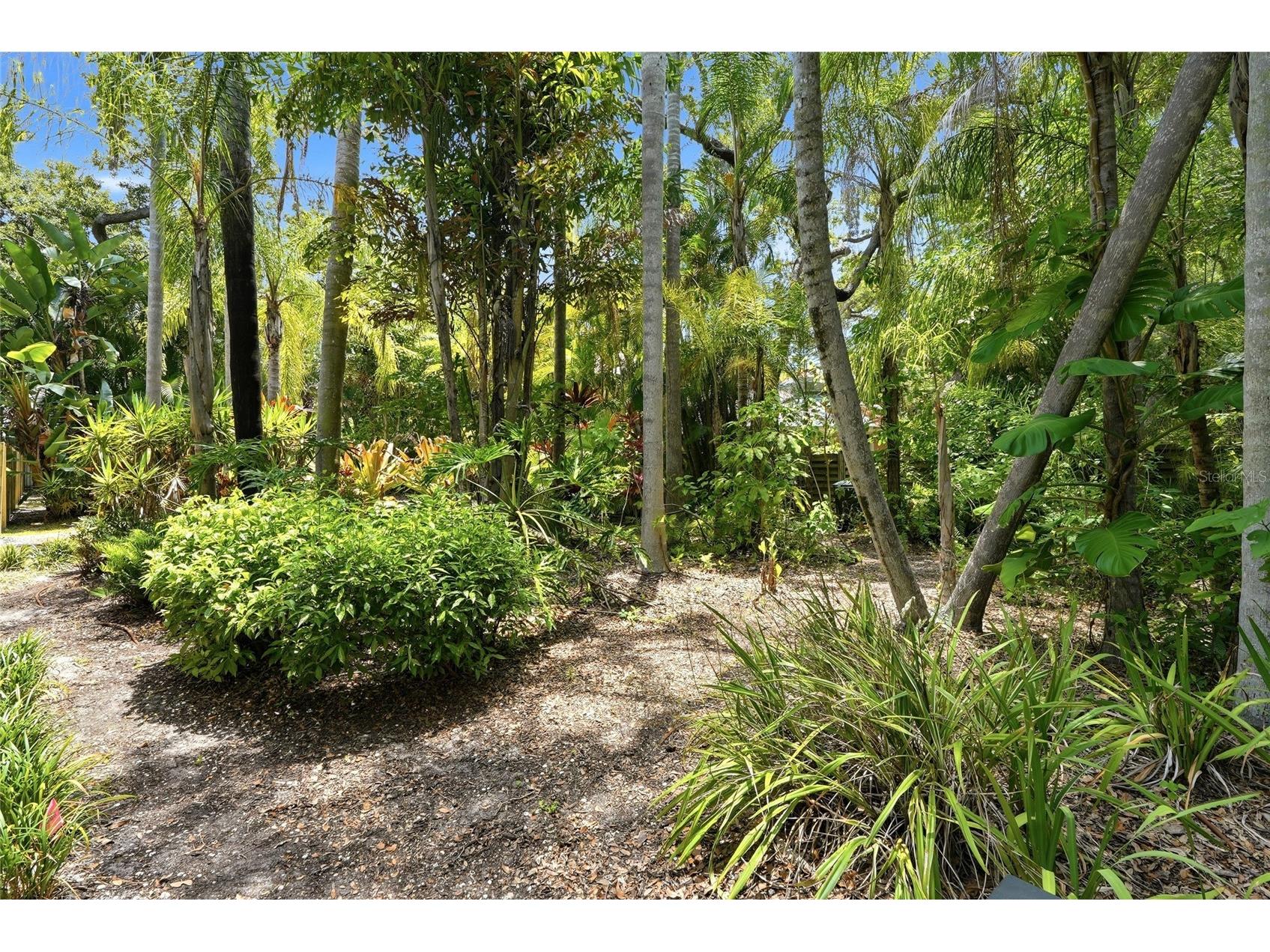 Lot 14 E Marshall Street Safety Harbor FL 34695 TB8516461 image10