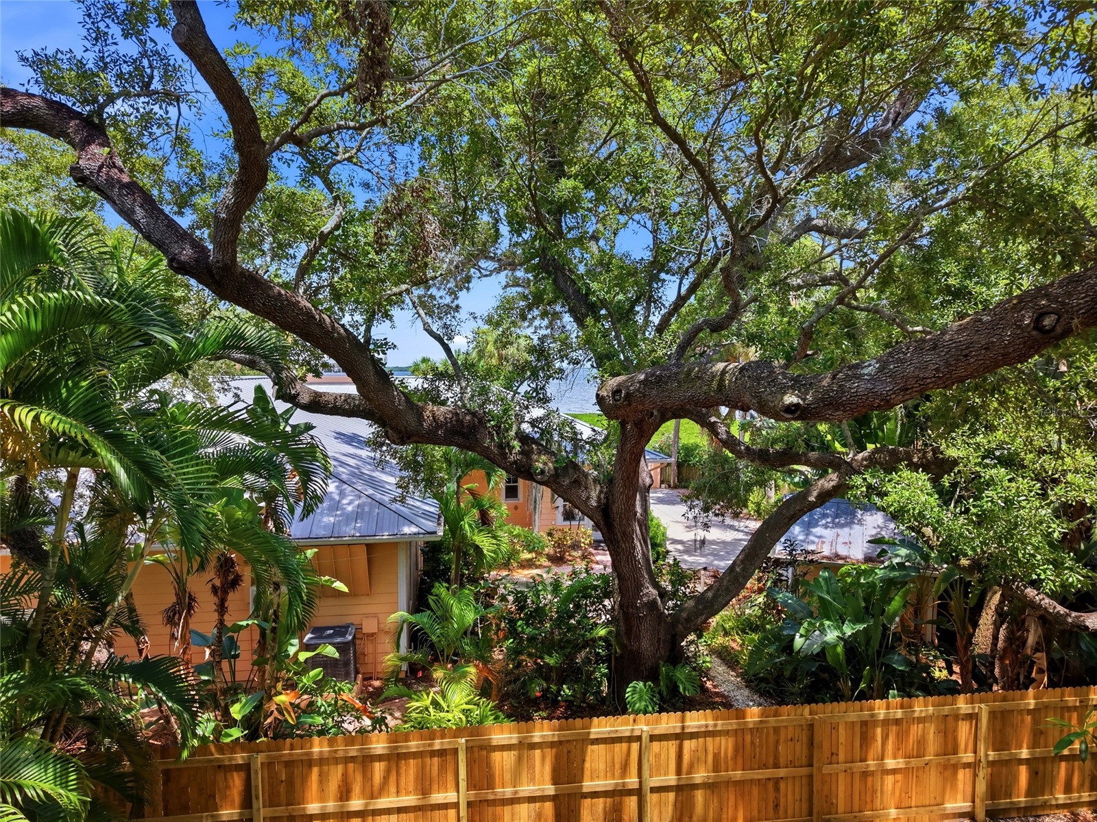 Lot 14 E Marshall Street Safety Harbor FL 34695 TB8516461 image18