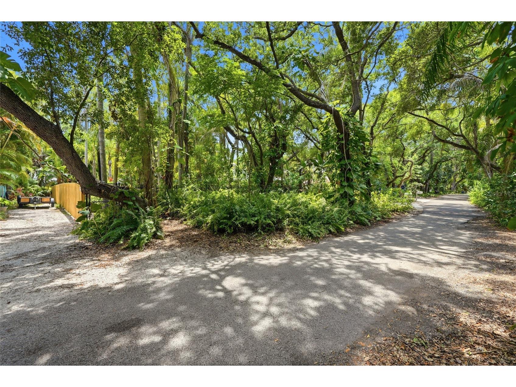 Lot 14 E Marshall Street Safety Harbor FL 34695 TB8516461 image9