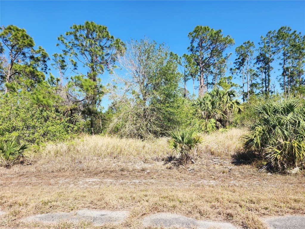 Lot 14 Hamerton Road North Port FL 34288 TB8359169 image1