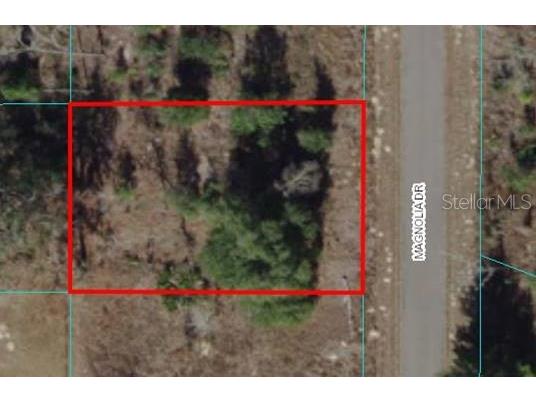 Lot 14 Magnolia Drive Ocklawaha FL 32179 OM670175 image1