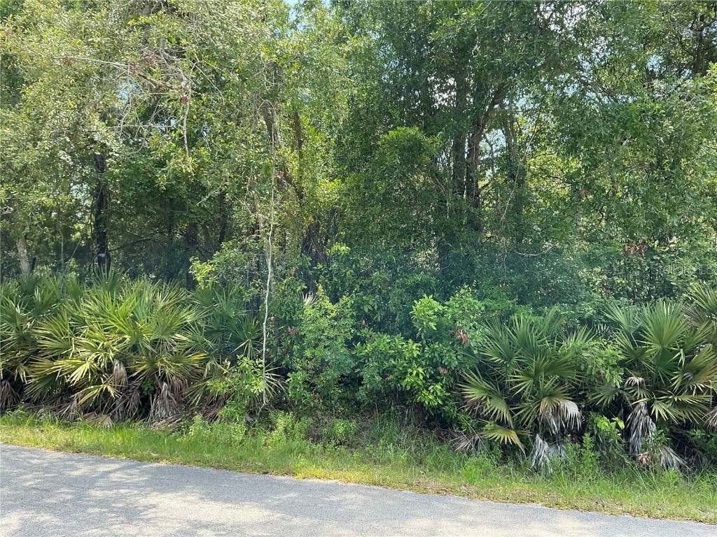 Lot 14 Nw 118th Ter Ocala FL 34482 O6312913 image1