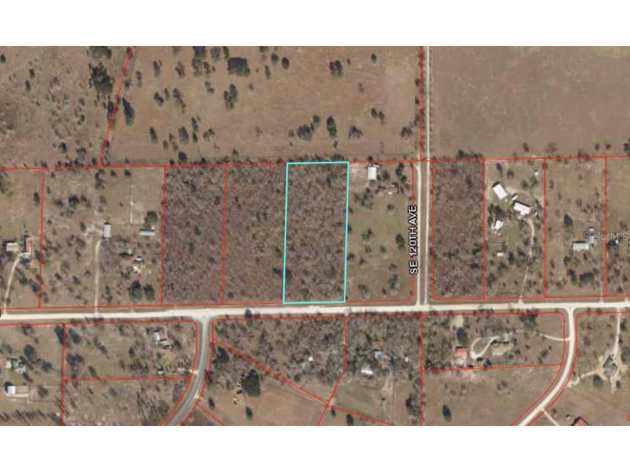 Lot 14 SE 16 Lane Morriston FL 32668 OM634017 image1