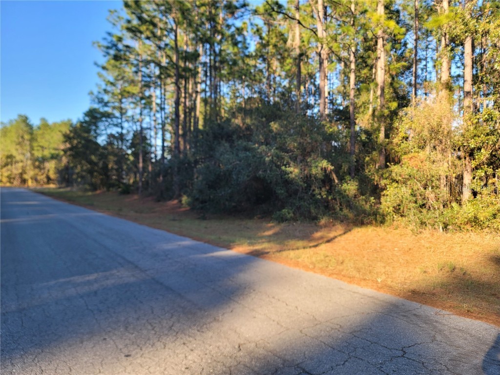 Lot 14 SW 80th Avenue Ocala FL 34473 OM677458 image1