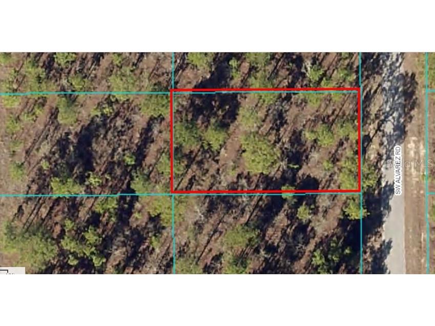 Lot 14 SW Alvarez Road Dunnellon FL 34431 OM642098 image1