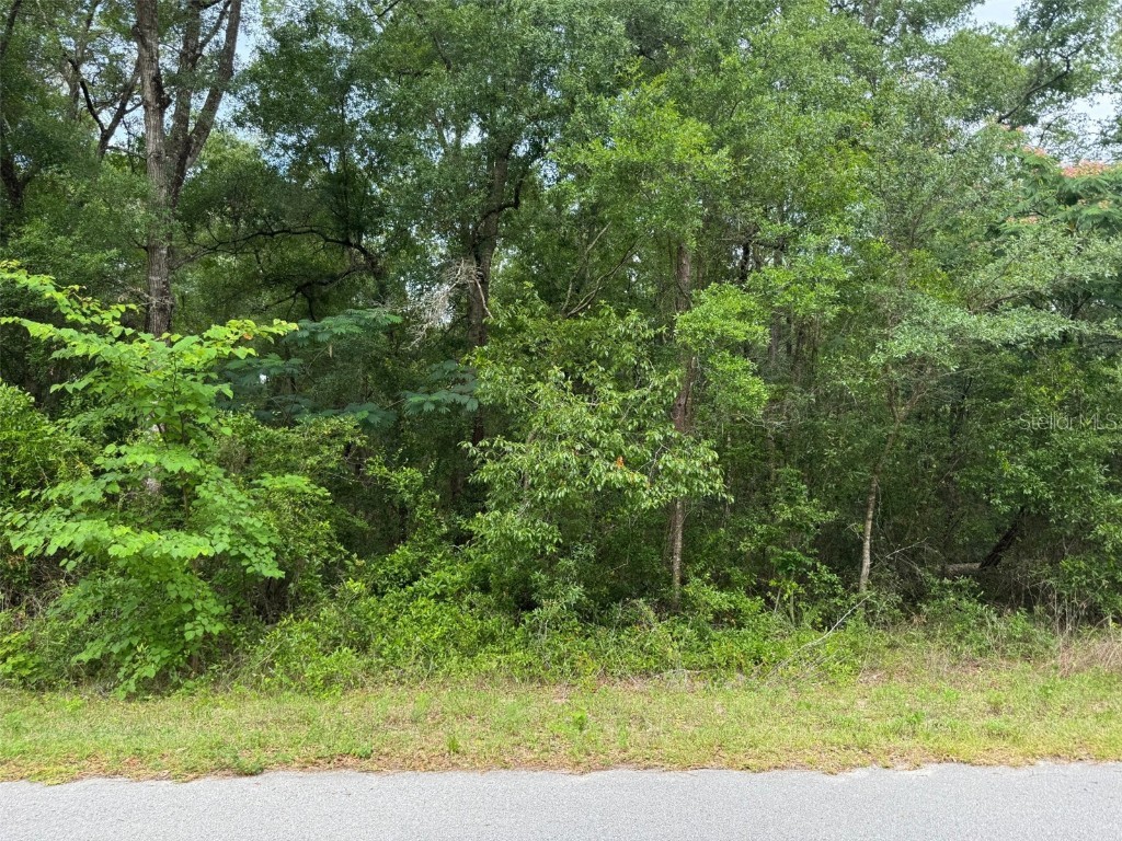 Lot 14 SW Chanel Heights Court Dunnellon FL 34431 - Tiger Lake OM702425 image1