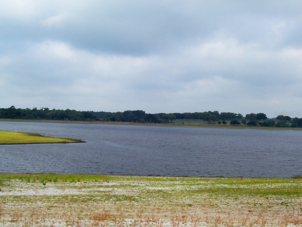 Lot 14 SW Chanel Heights Court Dunnellon FL 34431 - Tiger Lake OM702425 image11