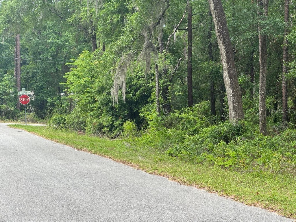 Lot 14 SW Chanel Heights Court Dunnellon FL 34431 - Tiger Lake OM702425 image2