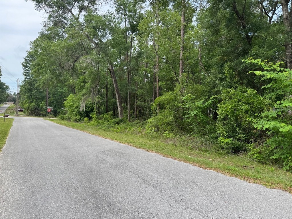 Lot 14 SW Chanel Heights Court Dunnellon FL 34431 - Tiger Lake OM702425 image3