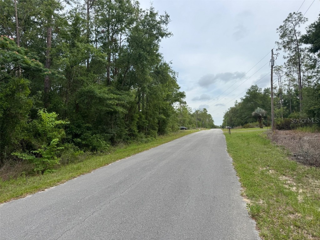 Lot 14 SW Chanel Heights Court Dunnellon FL 34431 - Tiger Lake OM702425 image4