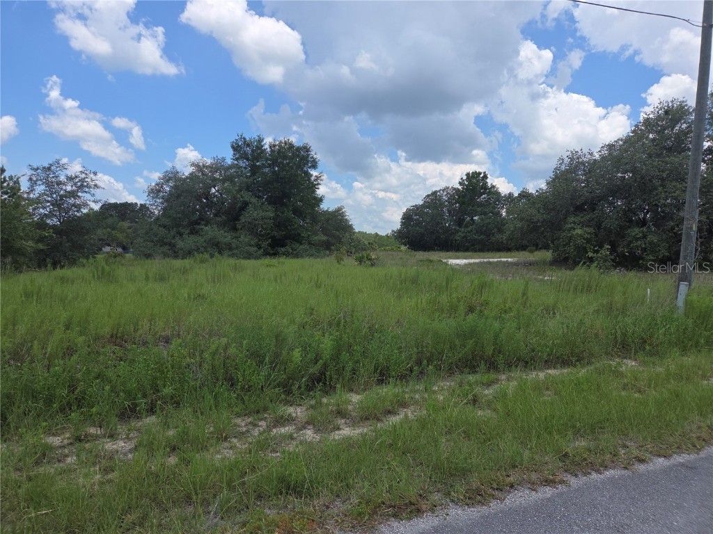 Lot 14 SW Viola Court Dunnellon FL 34431 OM706529 image1
