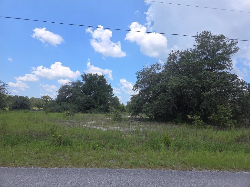 Lot 14 SW Viola Court Dunnellon FL 34431 OM706529 image3