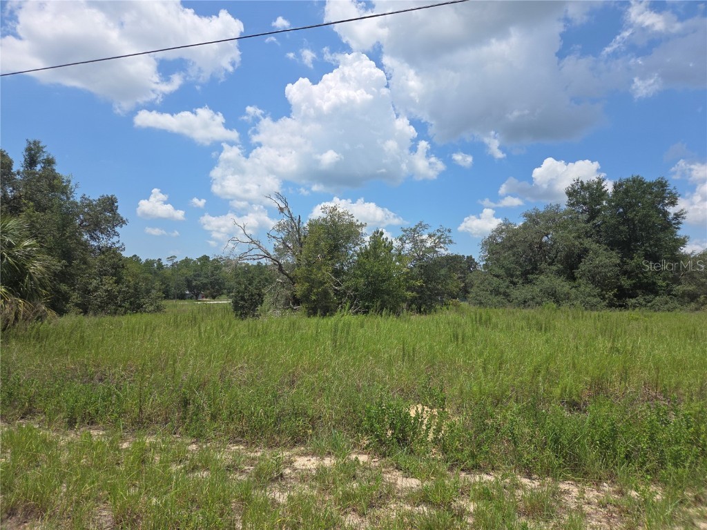 Lot 14 SW Viola Court Dunnellon FL 34431 OM706529 image4
