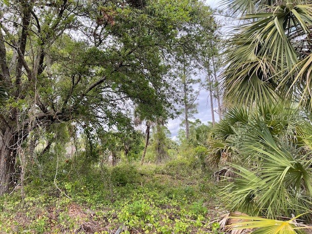 Lot 15 Ananas Road North Port FL 34288 A4687976 image3