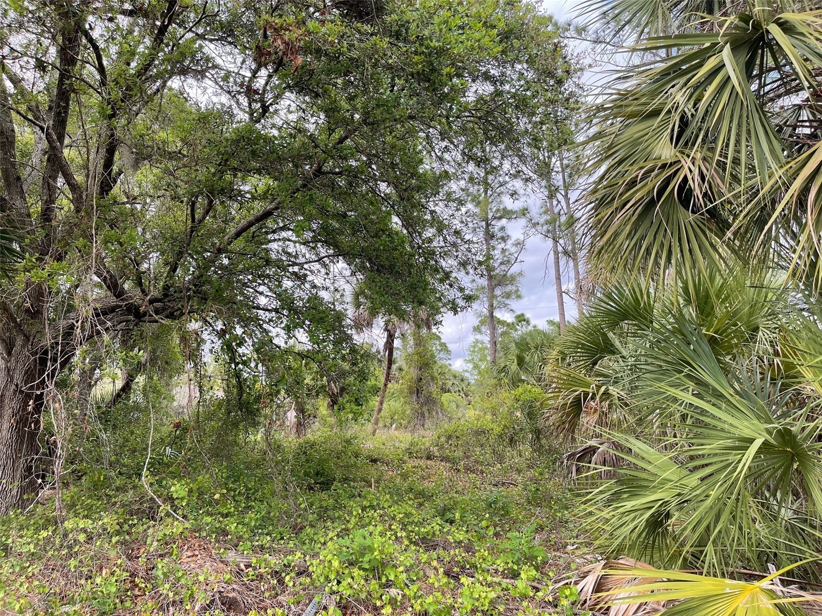 Lot 15 Ananas Road North Port FL 34288 A4687976 image5