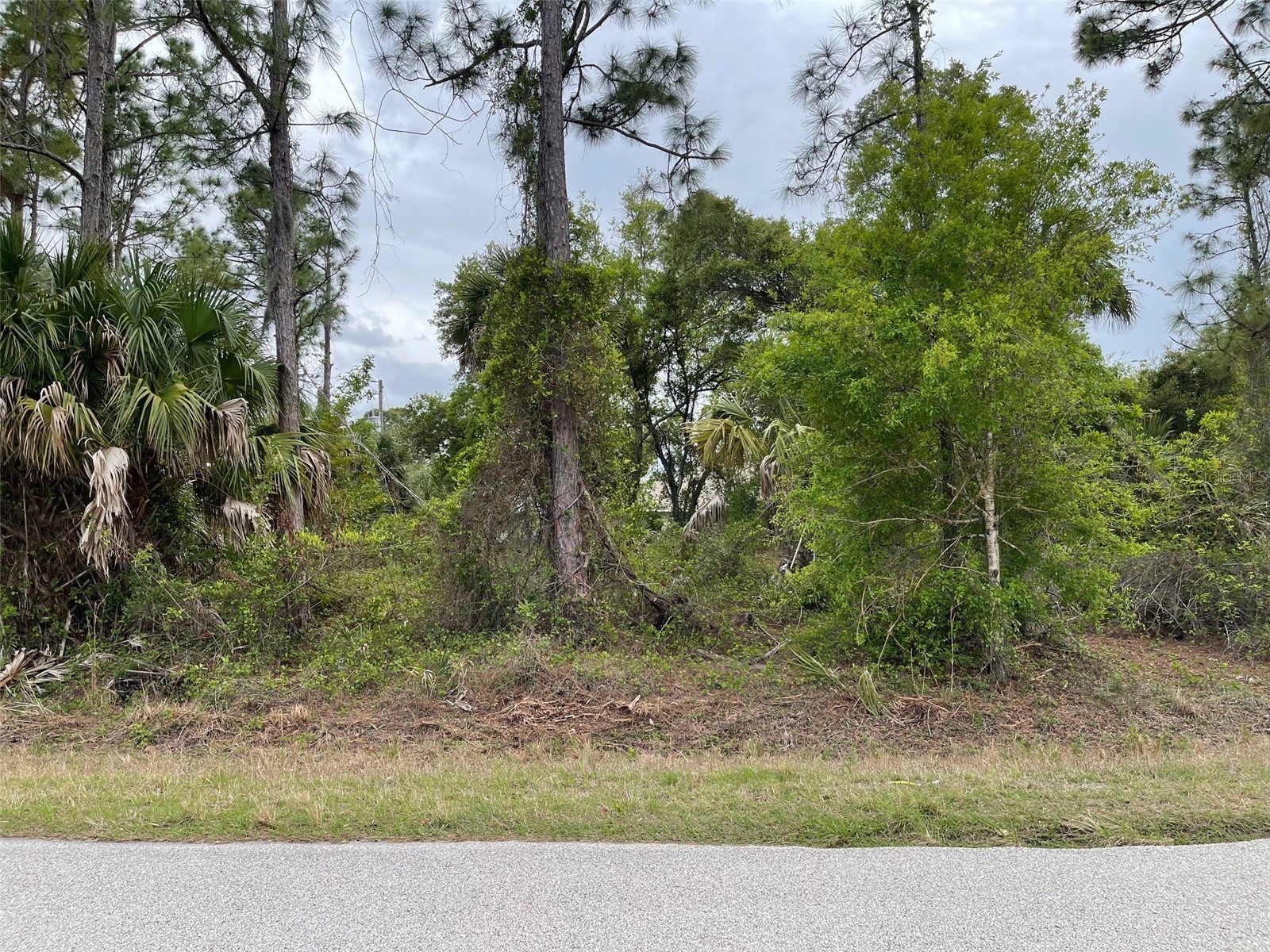 Lot 15 Ananas Road North Port FL 34288 A4687976 image6