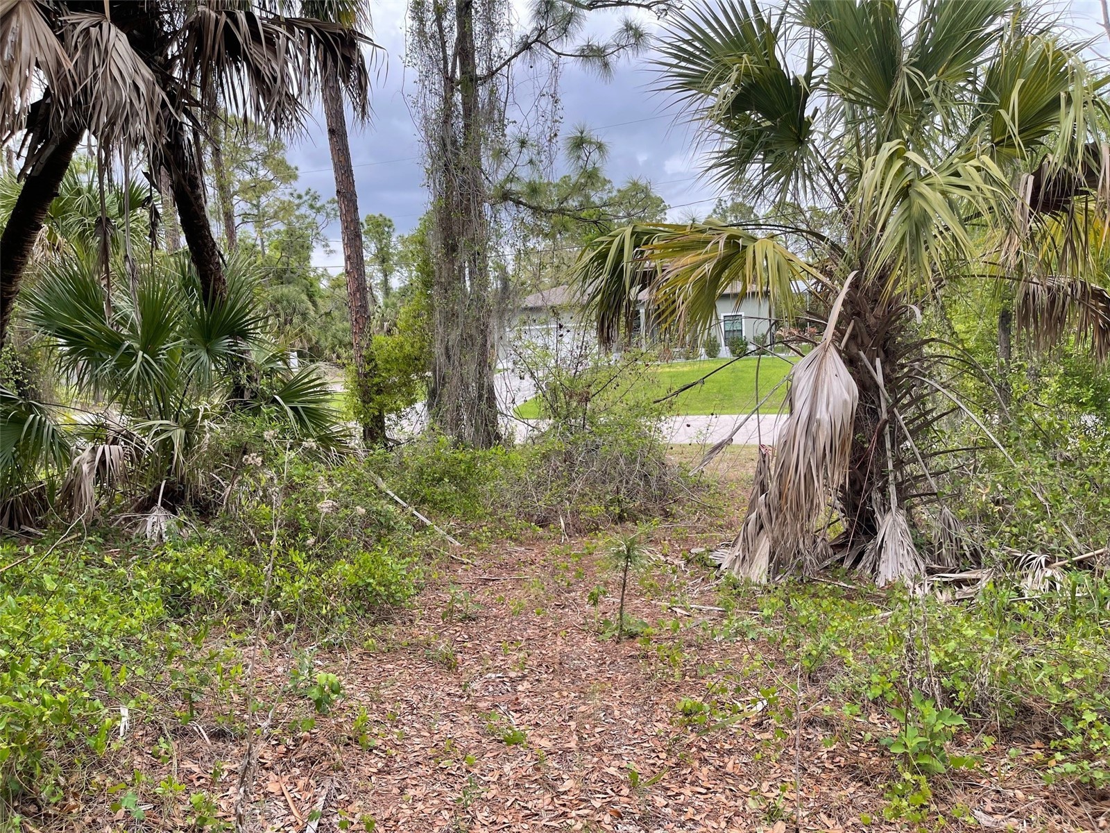 Lot 15 Ananas Road North Port FL 34288 A4687976 image7