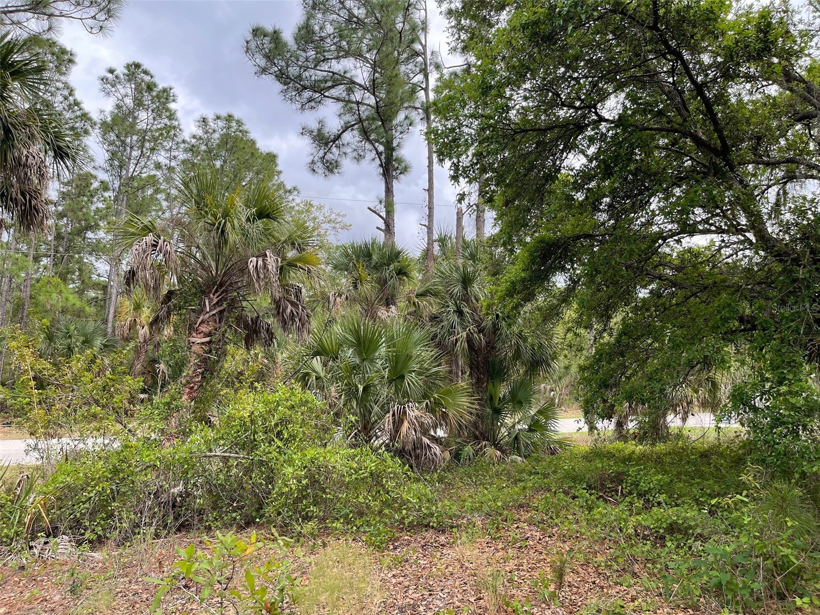 Lot 15 Ananas Road North Port FL 34288 A4687976 image8