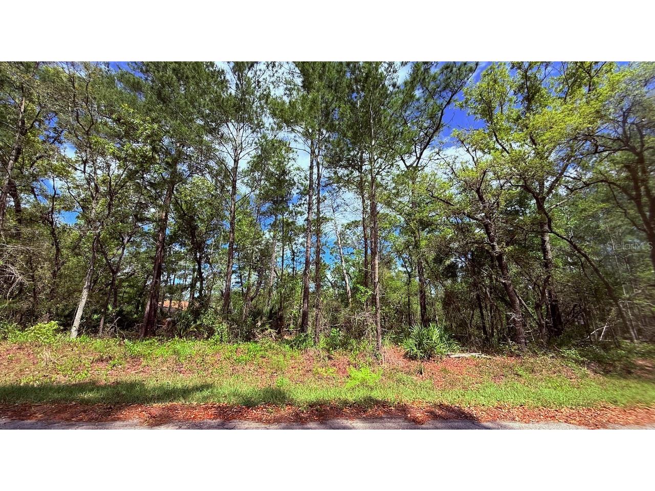 Lot 15 Bay Court Ocklawaha FL 32179 OM722515 image1