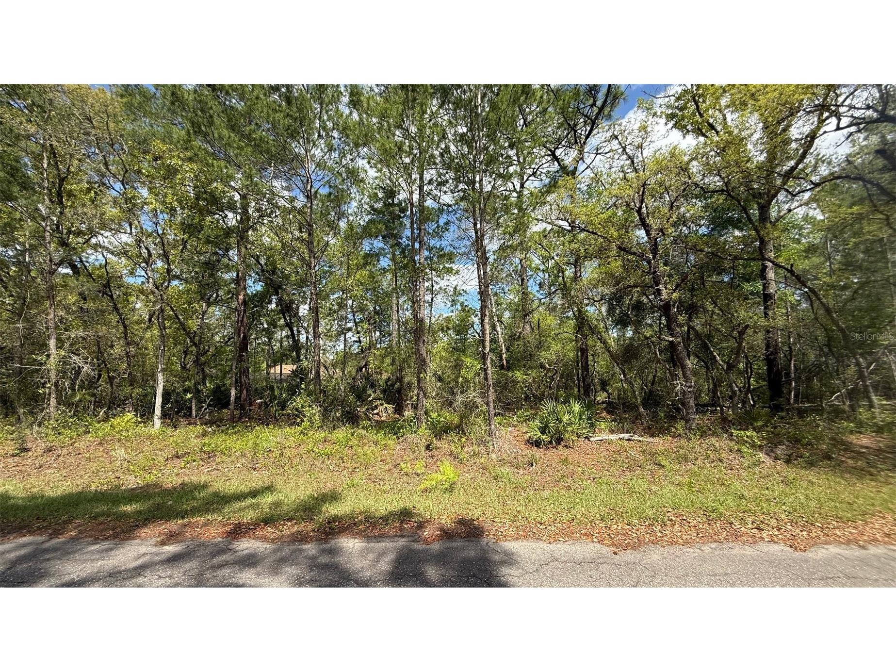 Lot 15 Bay Court Ocklawaha FL 32179 OM722515 image10