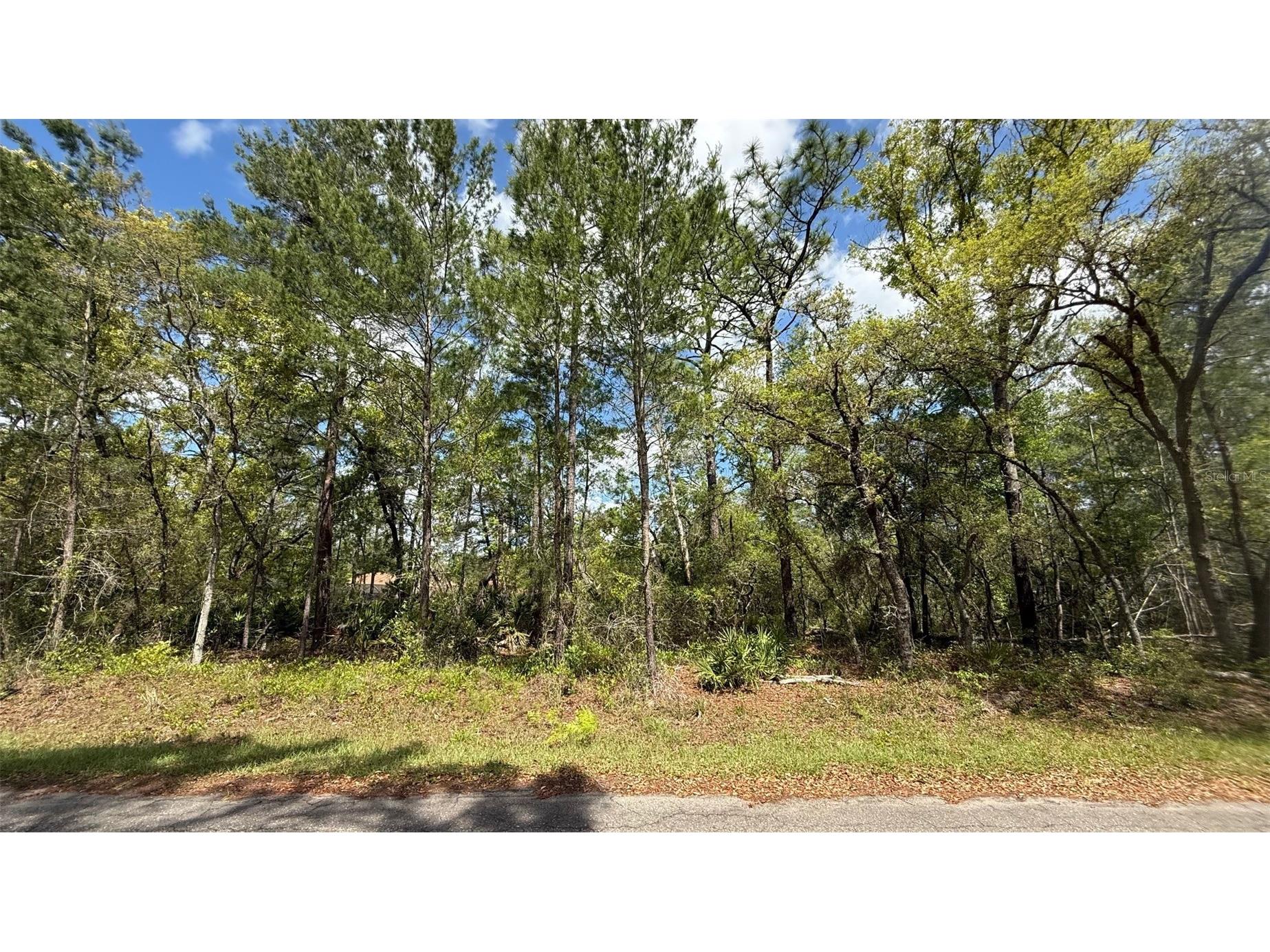 Lot 15 Bay Court Ocklawaha FL 32179 OM722515 image11