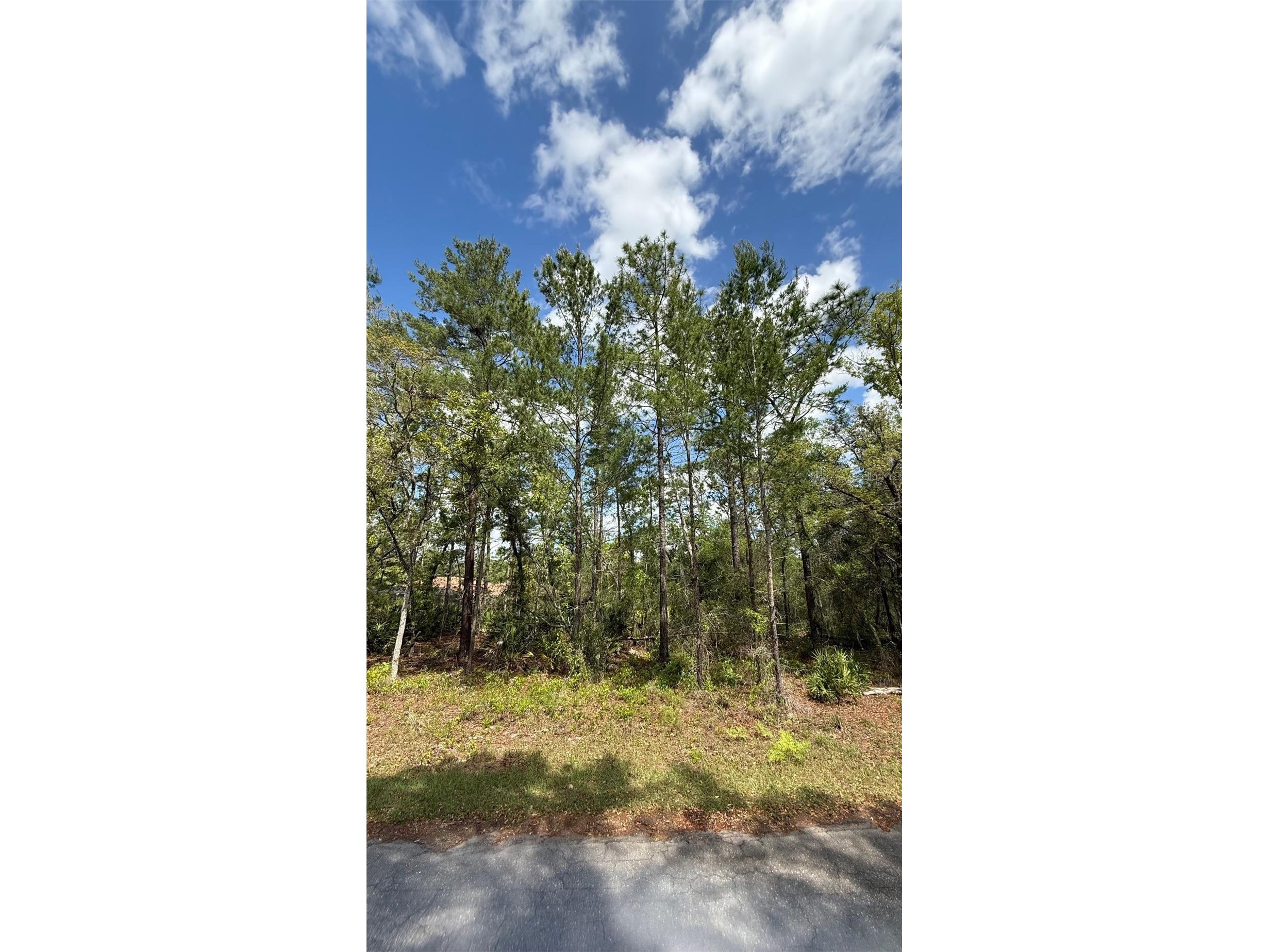 Lot 15 Bay Court Ocklawaha FL 32179 OM722515 image12