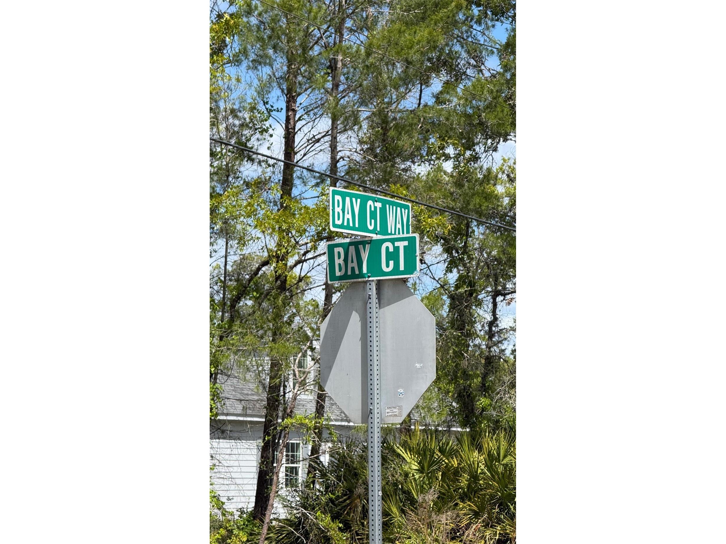 Lot 15 Bay Court Ocklawaha FL 32179 OM722515 image2