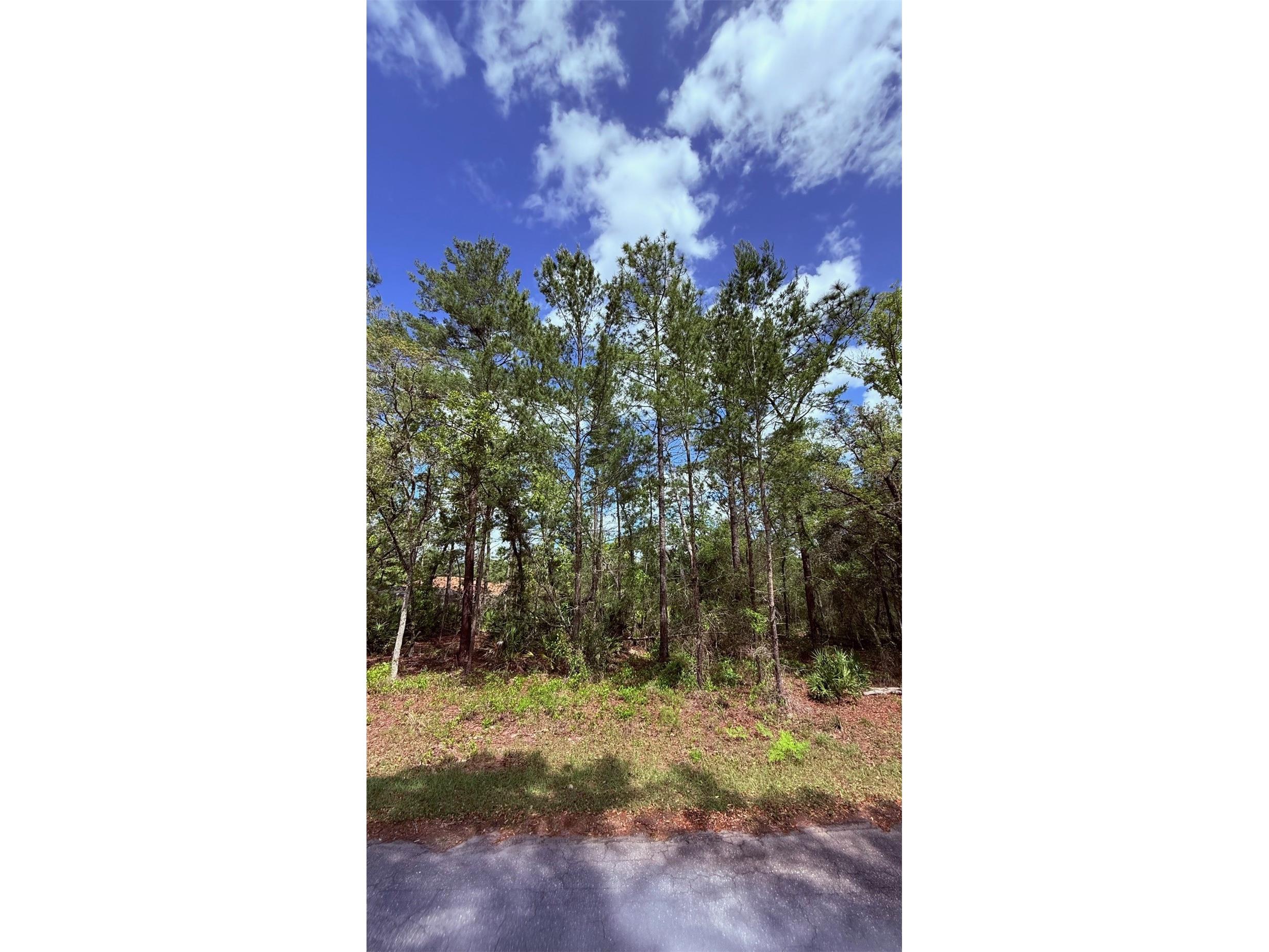 Lot 15 Bay Court Ocklawaha FL 32179 OM722515 image5