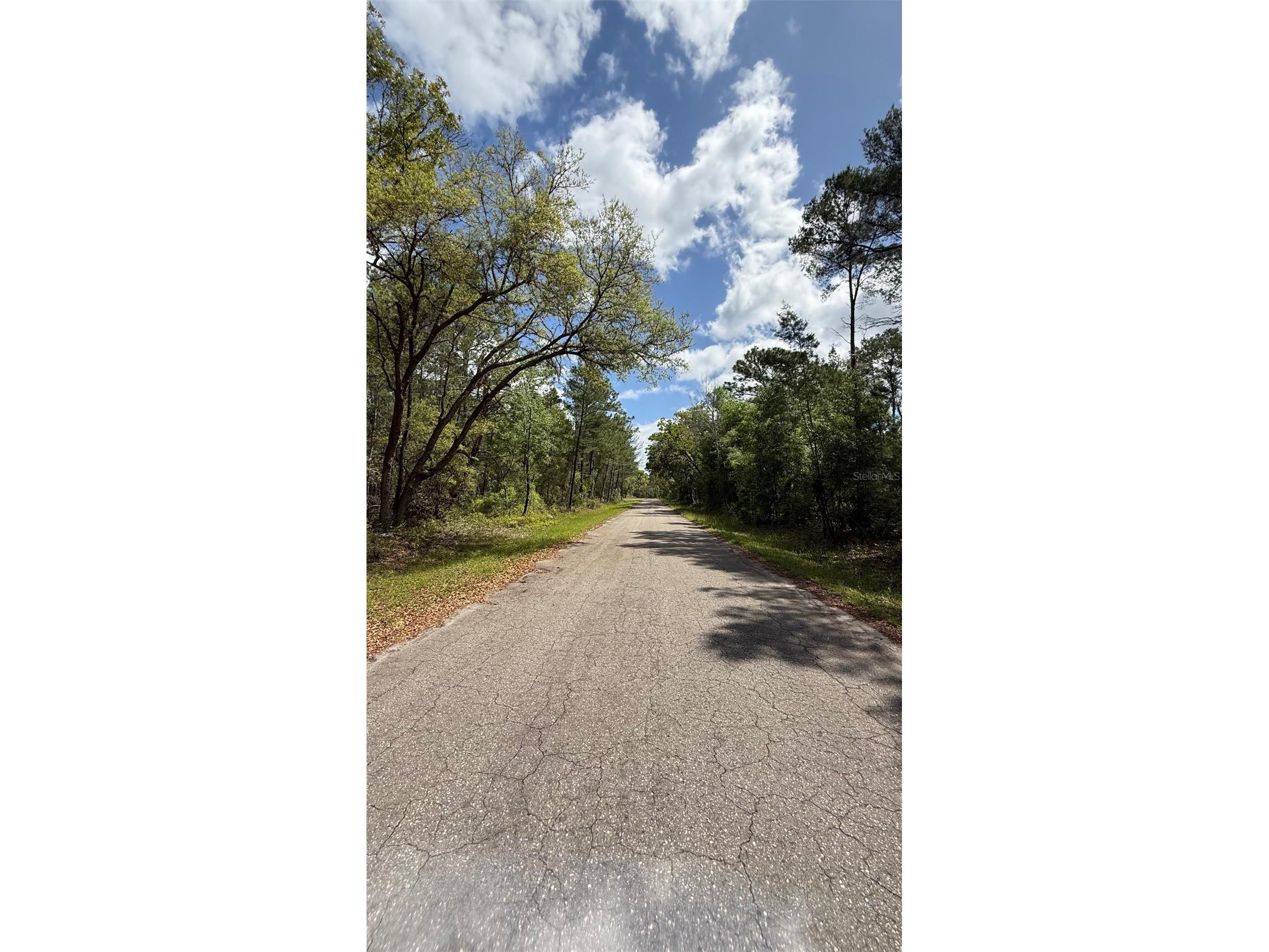 Lot 15 Bay Court Ocklawaha FL 32179 OM722515 image6