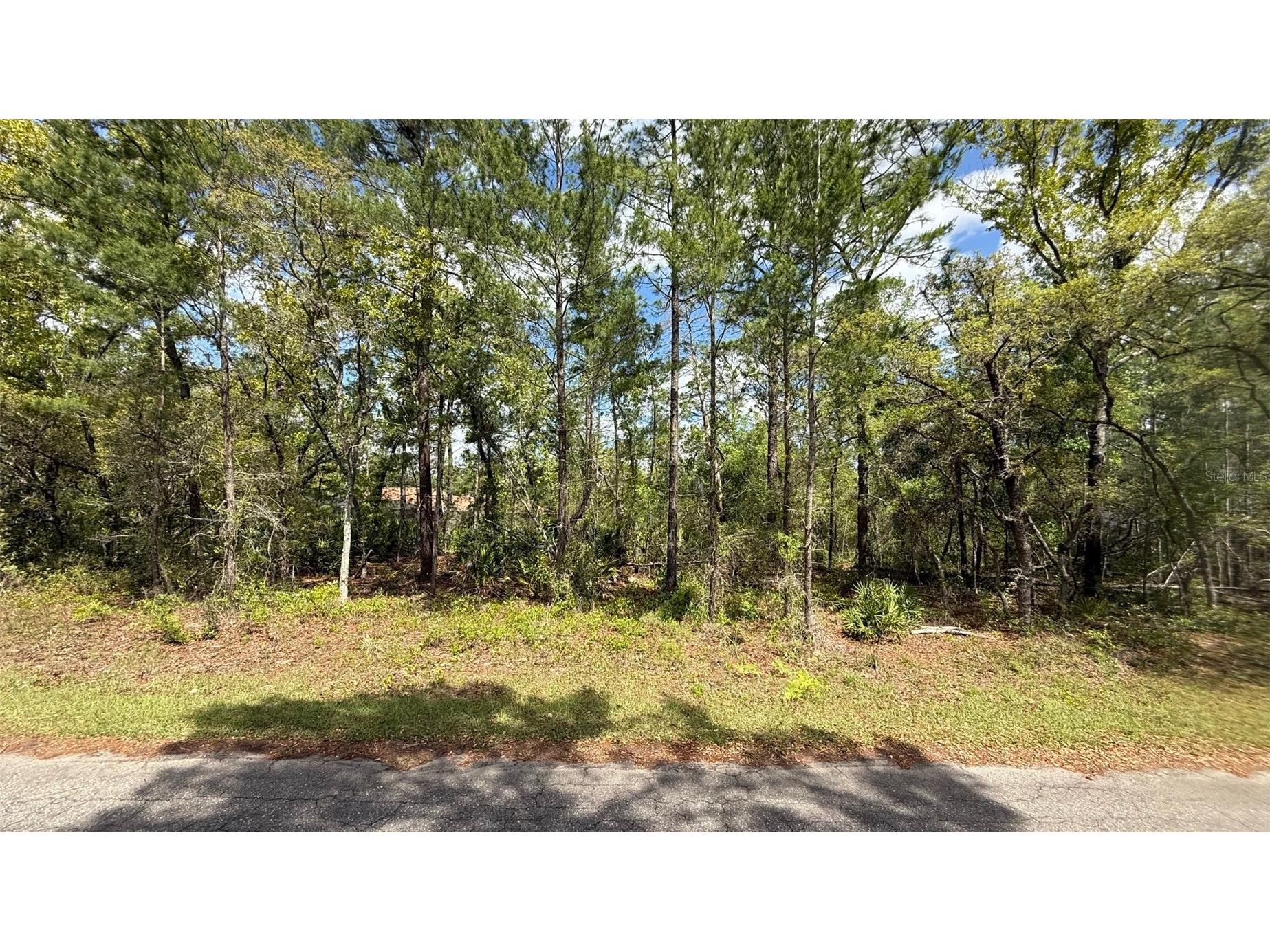Lot 15 Bay Court Ocklawaha FL 32179 OM722515 image7