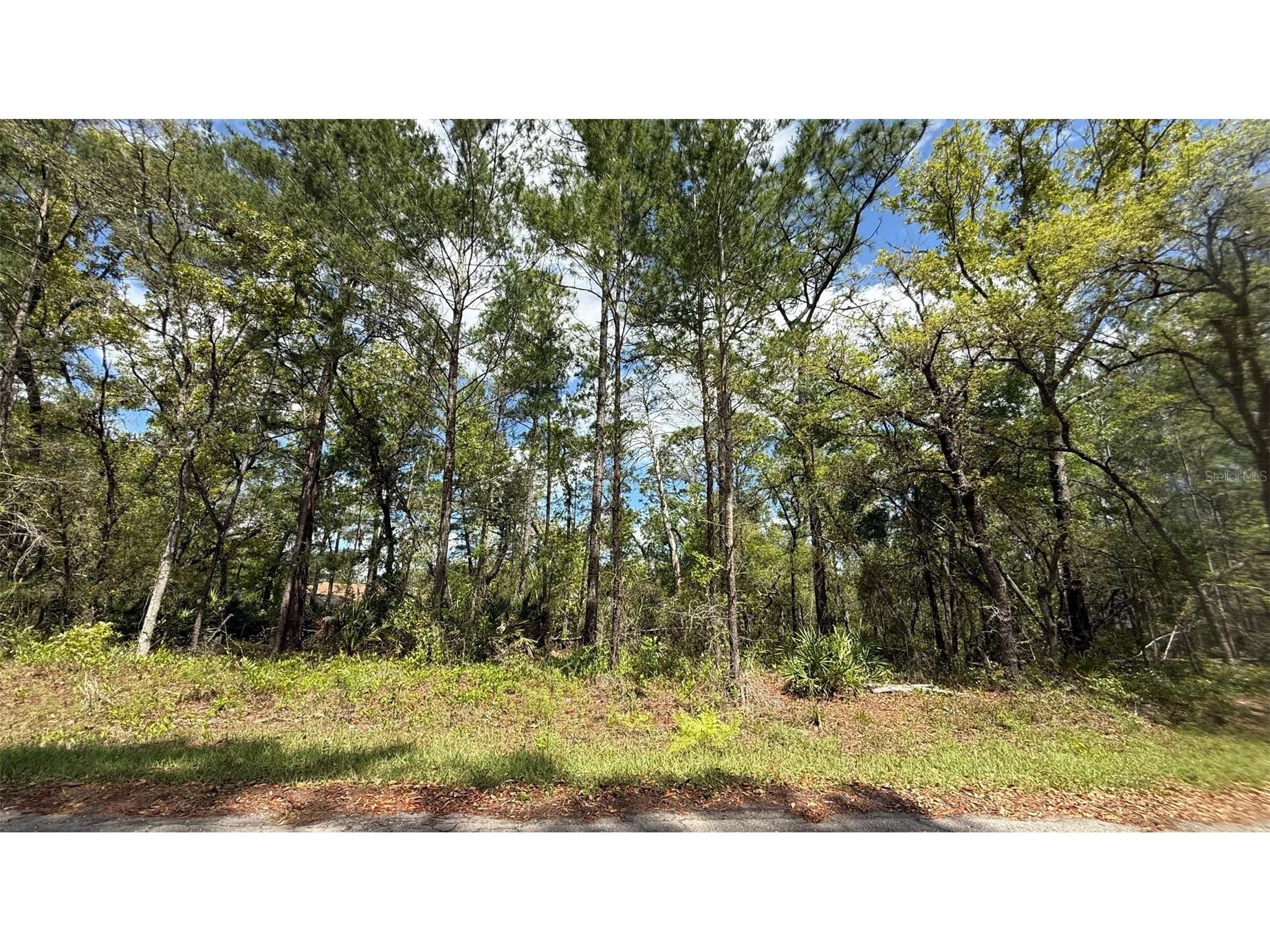 Lot 15 Bay Court Ocklawaha FL 32179 OM722515 image8