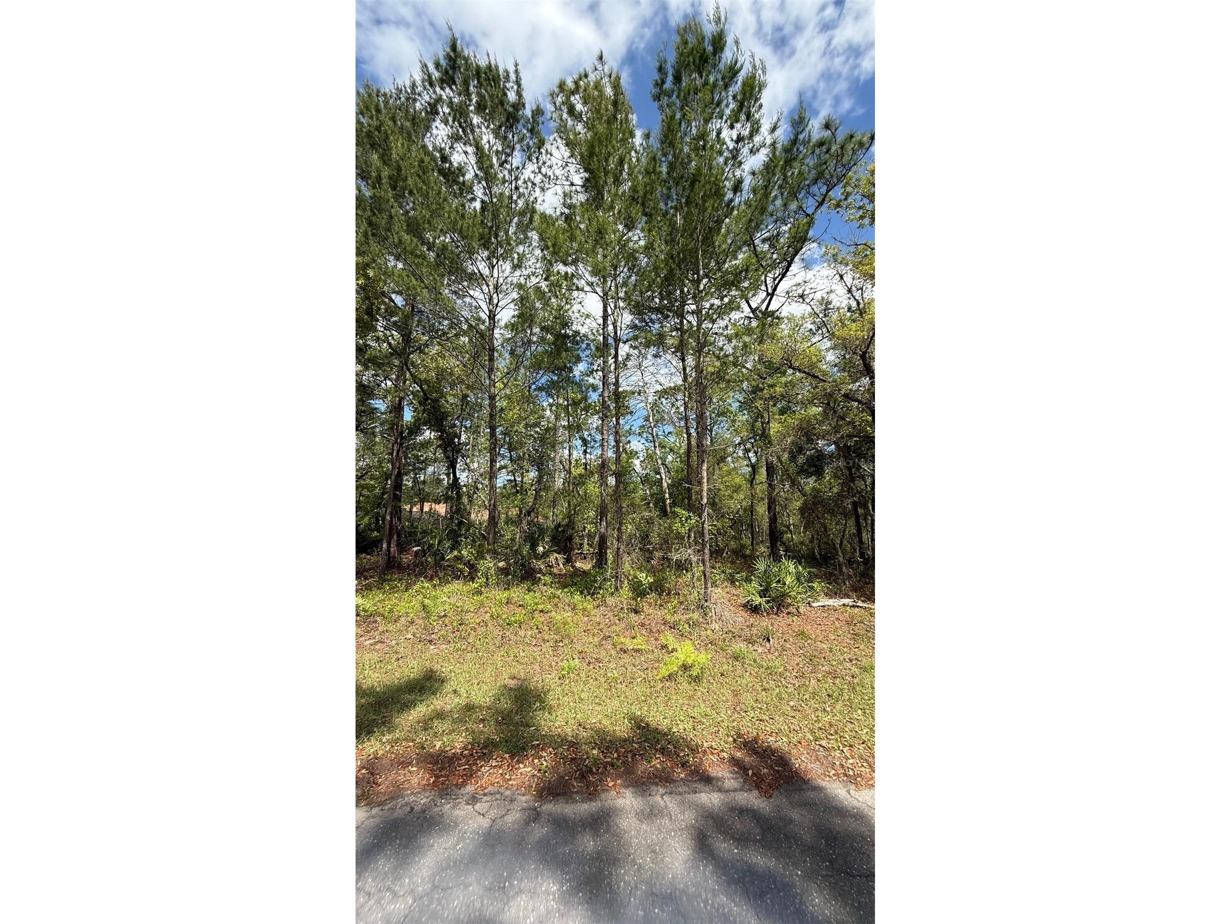 Lot 15 Bay Court Ocklawaha FL 32179 OM722515 image9