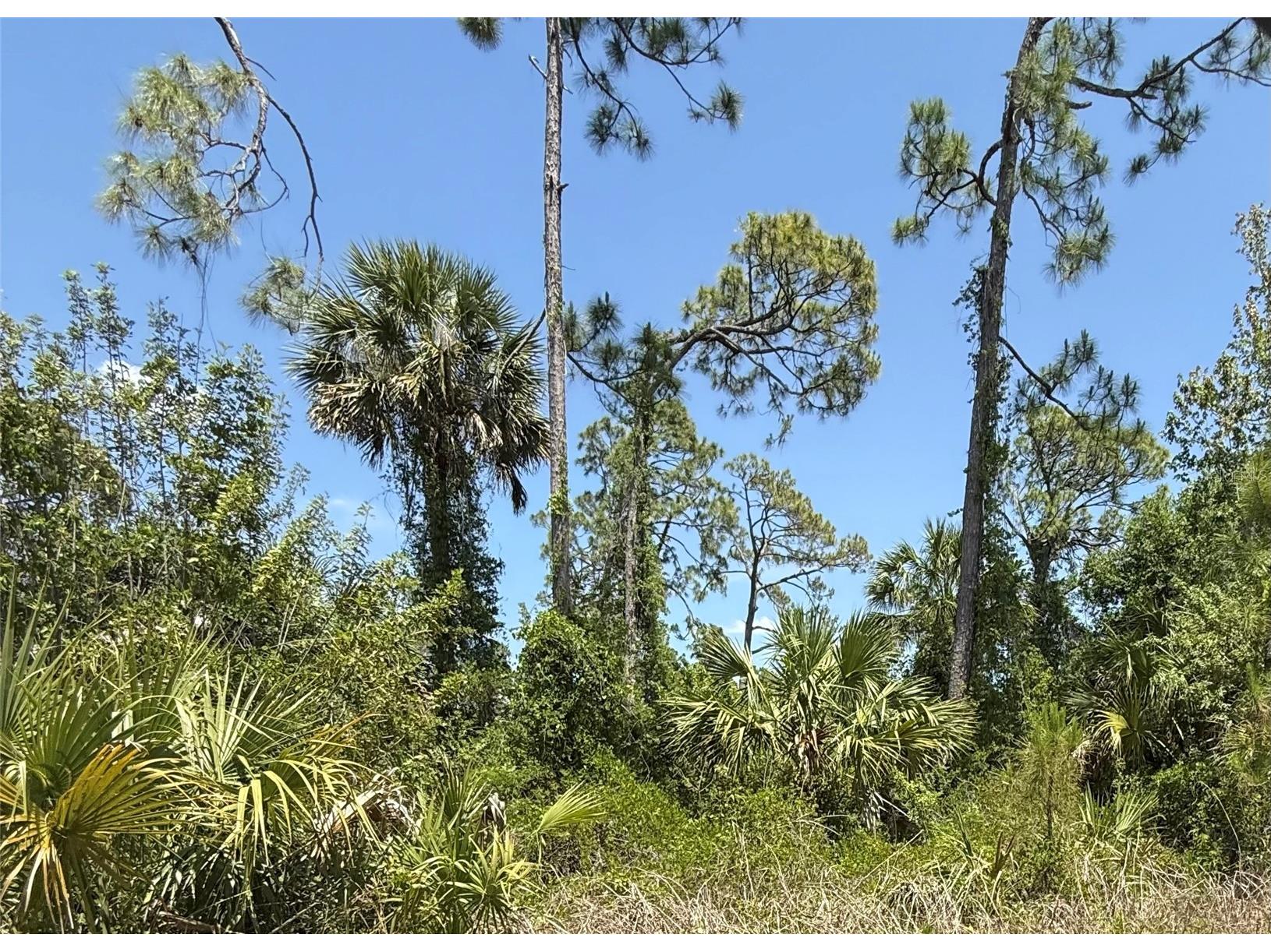 Lot 15 Coastal Street North Port FL 34288 A4694186 image1