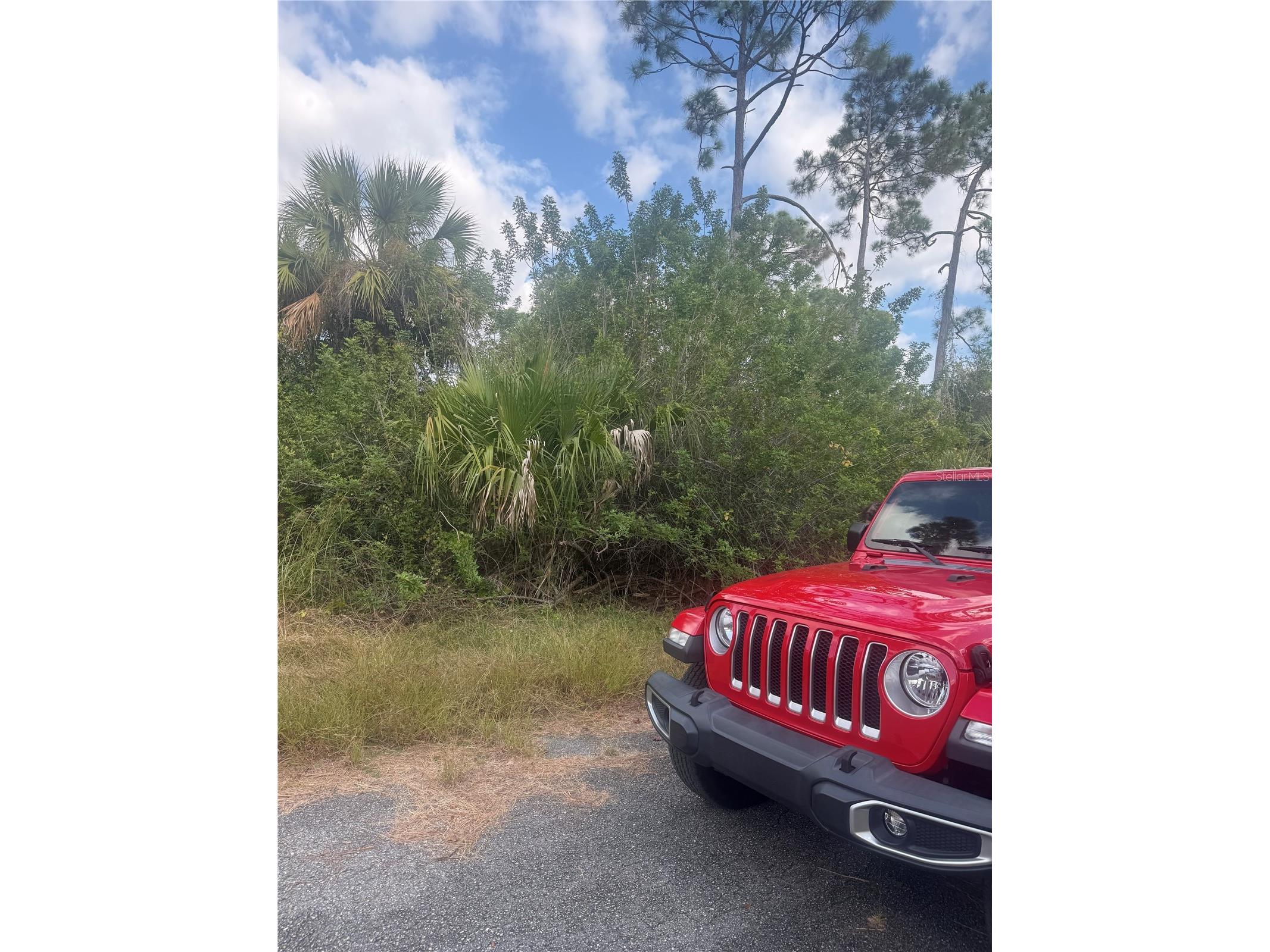 Lot 15 Coastal Street North Port FL 34288 A4694186 image2