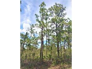 Lot 15 Ixora Drive Indian Lake Estates FL 33855 - LAKE WALK-IN-THE-WATER L4947777 image1