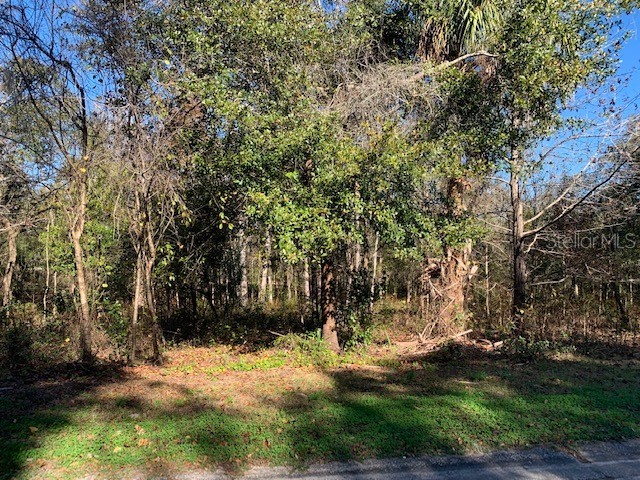Lot 15 Lake Hills Drive Riverview FL 33569 T3350448 image1