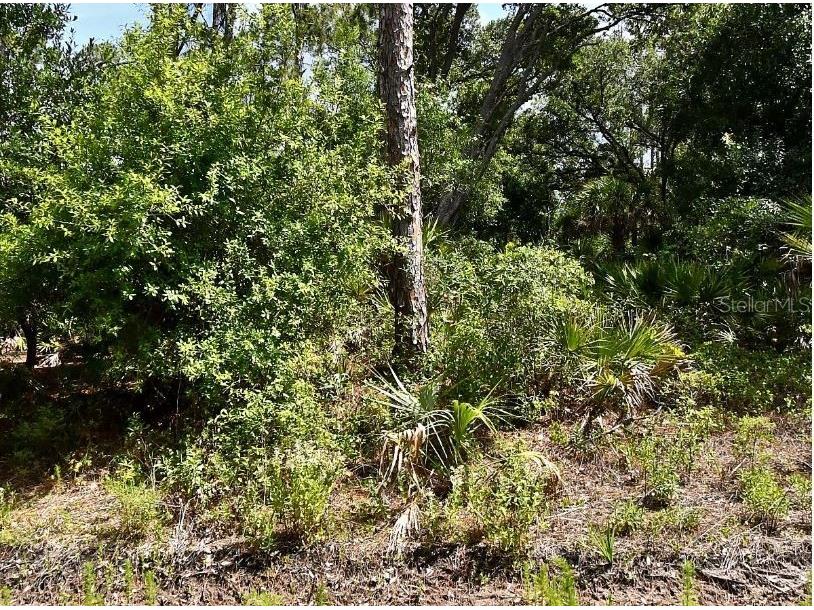 Lot 15 Lovering Avenue North Port FL 34286 TB8447844 image5