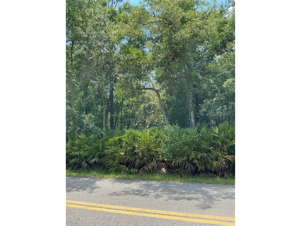 Lot 15 Nw 118th Ter Ocala FL 34482 O6312871 image1