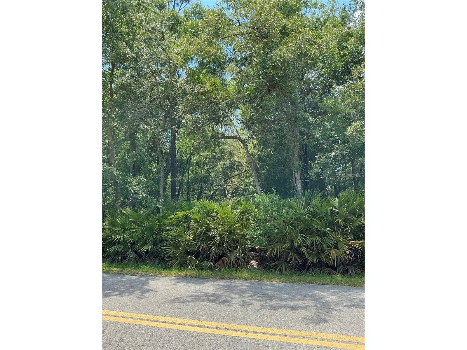 Lot 15 Nw 118th Ter Ocala FL 34482 S5153295 image1