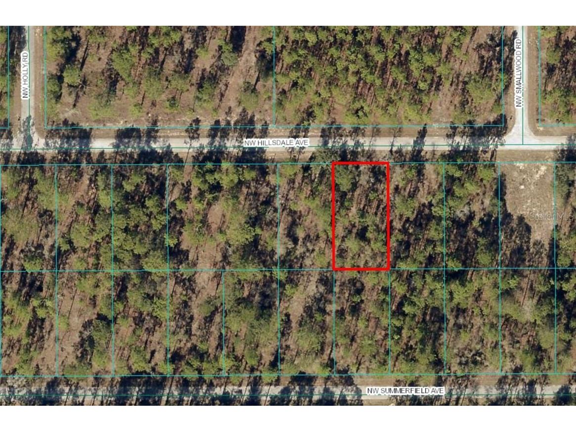 Lot 15 NW Hillsdale Avenue Dunnellon FL 34431 OM700500 image2