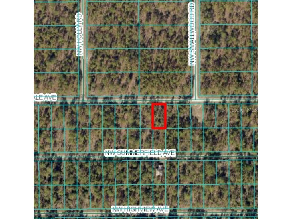 Lot 15 NW Hillsdale Avenue Dunnellon FL 34431 OM700500 image3